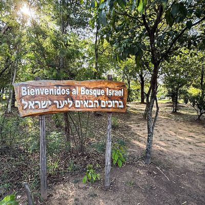 Dr. José Benjamín Pérez Matos participó en la plantación de un árbol en el “Bosque Israel” de Asunción